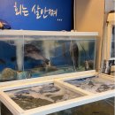 순돌이회수산