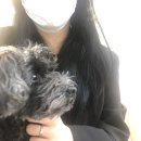 루체네일 이미지
