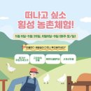 강원도 횡성 에덴 양봉원 체험기🐝