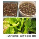 티운 이미지