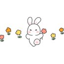 광안리보울스포케샐러드 이미지