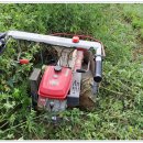 솔섬민박 이미지