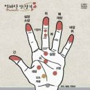 한땀한땀 손놀이 이미지