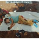 보고유치원 Daum카페