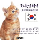 헤어마트 이미지