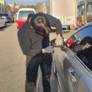 오토파크모터스 이미지