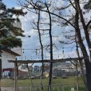 더헤이븐 리조트 펜션 | [더헤이븐리조트펜션] 포항 펜션에서의 힐링 타임과 환상적인 오션뷰