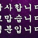 여리들 이미지