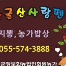 스타펜션앤민박 이미지