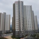 해뜰안애 이미지