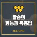 수레로9번길2 이미지