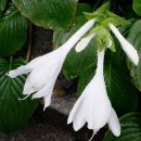 소명 행정사사무소 이미지