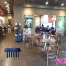 스타벅스 장유율하점 이미지