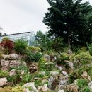 서상초등학교 | #0321~#0323 - 청평 아침고요수목원.. (FM2, Kodak Proimage100)