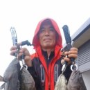 영흥바다낚시터 이미지