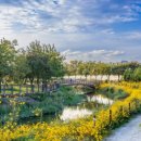 노을빛 정원 이미지