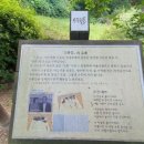 청사초롱 유아숲체험원 이미지