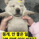 음 네이버블로그