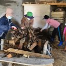 금지면 용전마을 이미지