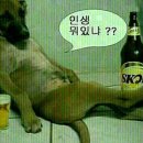산책 이미지
