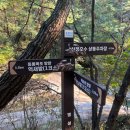 명성산 억새꽃축제 등산1코스 소요시간 &amp; 산정호수 주차장 근처 어죽 맛집‼️