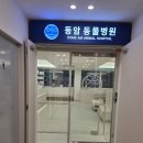 동암동물병원 네이버블로그