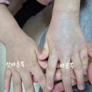 에이유브이