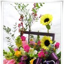 지오메디 이미지