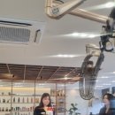 단빔 이미지