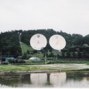 충청동물병원 이미지