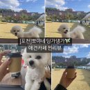 뽀야네딩가댕가 이미지