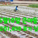 무주농협 안성지점 이미지