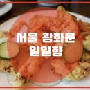 일일향 이미지
