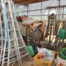 구암동498 이미지