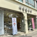 강릉꽃집 메종플라워 어버이날 카네이션 예약 솔직후기