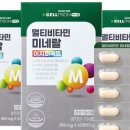 이지 앤 멀티