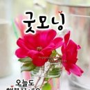 행복한 하루 되세요 ^-^ 이미지