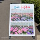 제주 서귀포 5월 꽃축제 수국 명소 휴애리 자연생활공원 동물 먹이주기 체험