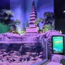 탄금호피크닉공원 2 이미지