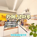 카페 댕하루 이미지