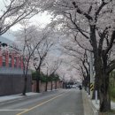 파빌라 영남알프스점 이미지