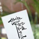 나무랑캘리랑