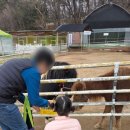 신세계농장(1) | 파주 가볼만한 곳, 아이와 다녀온 우농 타조농장 체험 솔직후기