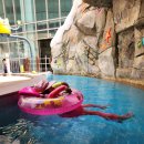 꼬마등대어린이집 | [2박3일] 2024년 경주 여행 - 한화리조트 (1/2)