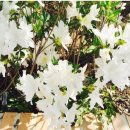 에코농원 이미지