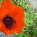 금대휴펜션 이미지