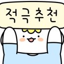 양양고인돌캠프 이미지