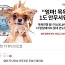 경주월드 화장실 이미지