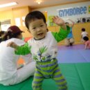 평촌과천짐보리 이미지