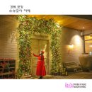 모아카페 티스토리